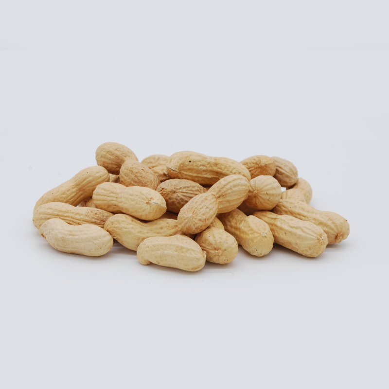 ARCDIGUSTOST bis.png