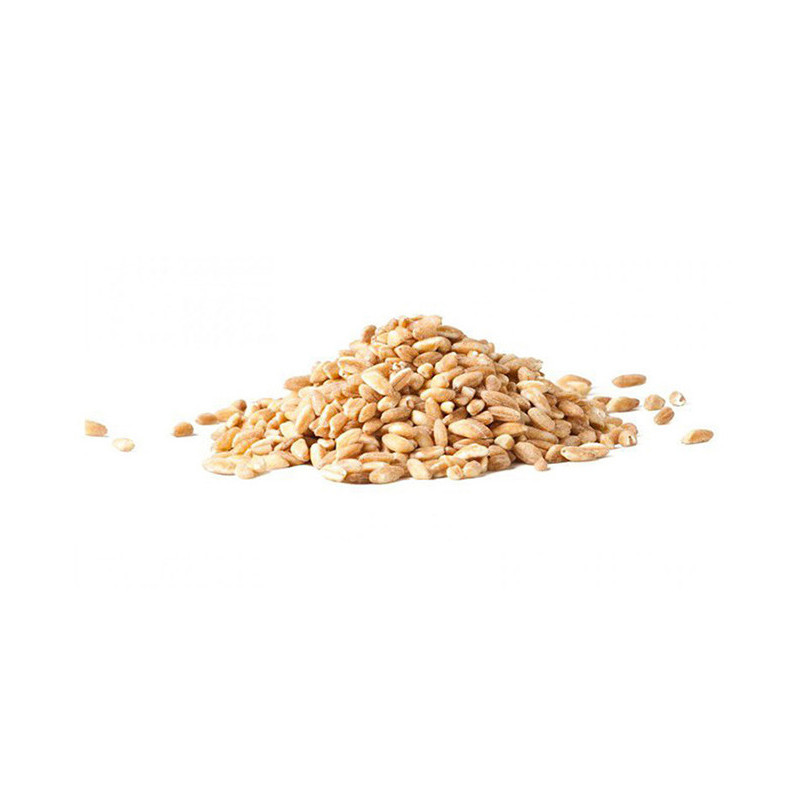GRNDURO10.jpg
