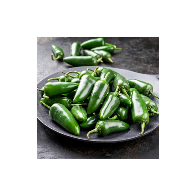Peperoncino spezzato Jalapeno green in pezzi astuccio gr 100 Roma bis.jpg
