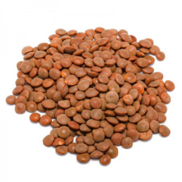 Lenticchie rosse mignon origine Sicilia sacchetto kg 10 Baccello