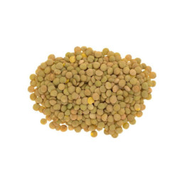 Lenticchie verdi grandi origine Sicilia sacchetto kg 10 Baccello