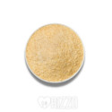 MOLLICA BIANCA RIZZO.jpg