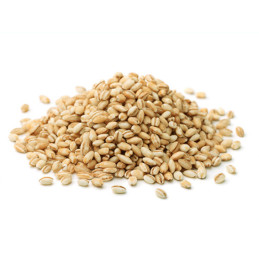 Orzo perlato sacchetto kg 5 Costanza