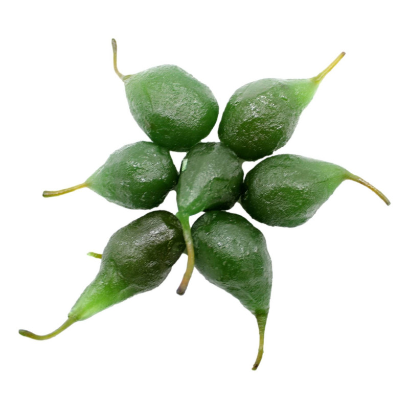 Pere verdi candite intere kg 5 Cesarin.jpg