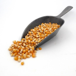 Mais selezione pop corn sacco kg 5 Costanza.jpg