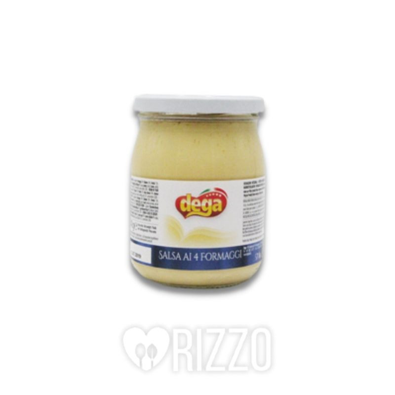 SALSA4FORMGDEGA.jpg