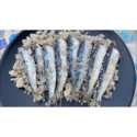 Sarde sotto sale scapate contenitore in plastica da 5kg Scalia bis.jpg