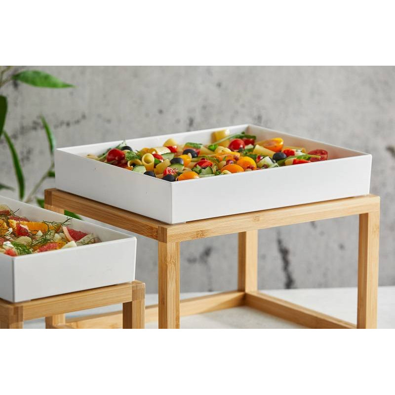 Vassoio Gastronorm Venezia in melam bis.jpg