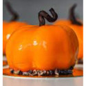 zucca.jpg