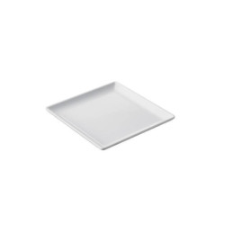 piatto quadrato principale.jpg