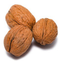 Noci con guscio origine Cile sacchetto kg 10 Euroalimenti.jpg
