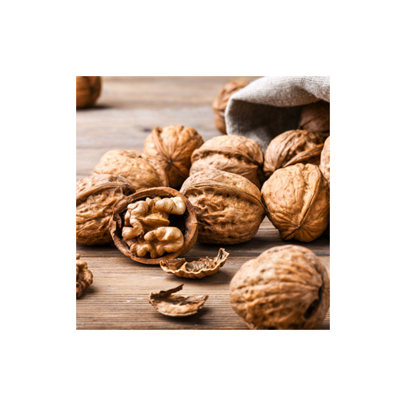 Noci con guscio origine Cile sacchetto kg 10 Euroalimenti bis.jpg