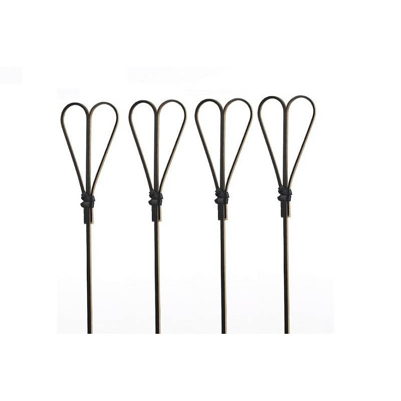 spido cuore princ.jpg