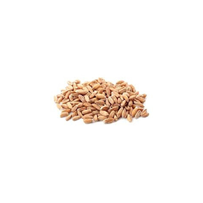 Farro decorticato busta kg 5 EuroAlimenti.jpg