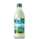 Salsa yogurt bottiglia plastica ml 500 Develey.jpg