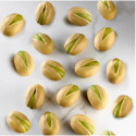 Stampo pistacchio principale.jpg