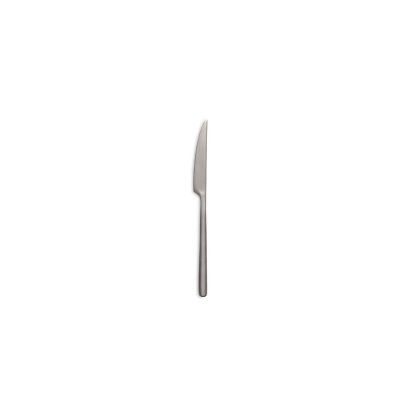 Coltello da tavola canada in acciaio confezione pezzi 12 Comas principale.jpg
