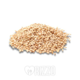 SESAM5KG.jpg