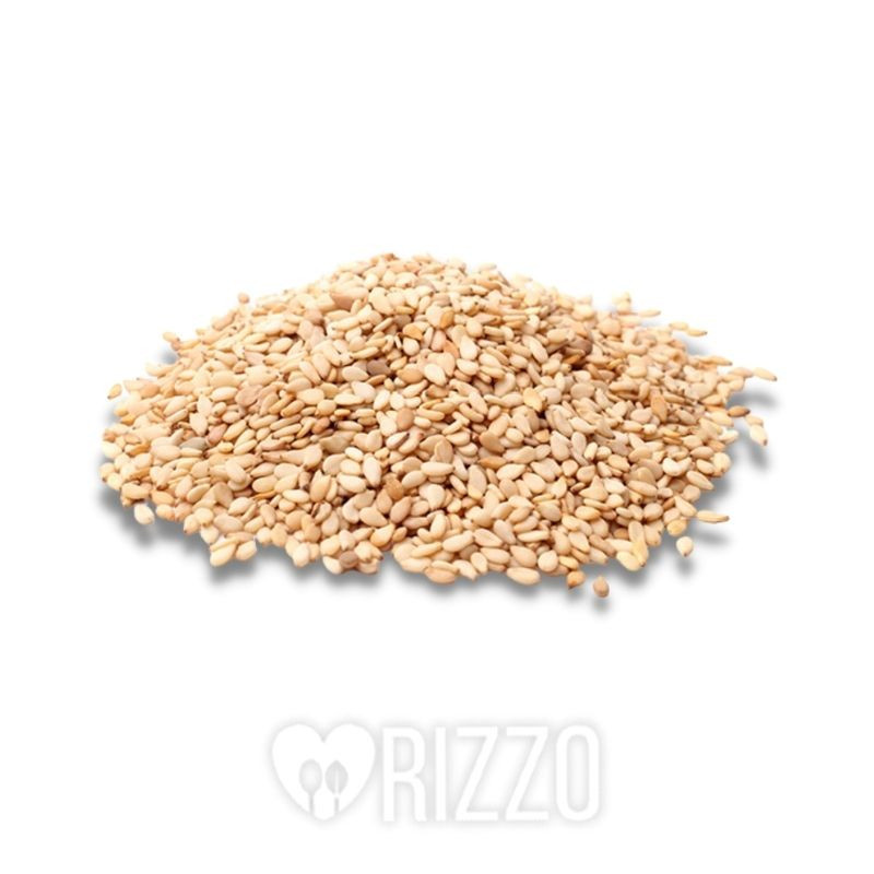 SESAM5KG.jpg