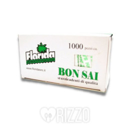 STDNTI1000.jpg