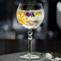 calice gin tonic bis.jpg