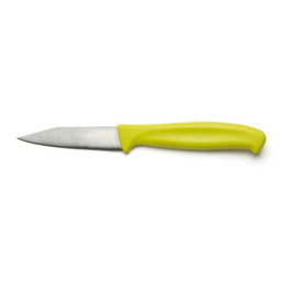 Coltello professionale Spelucchino acciao inossidabile 3CR13 Comas principale.jpg
