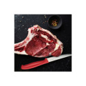Coltello steak manico rosso confezione pezzi 6 Comas tris.jpg