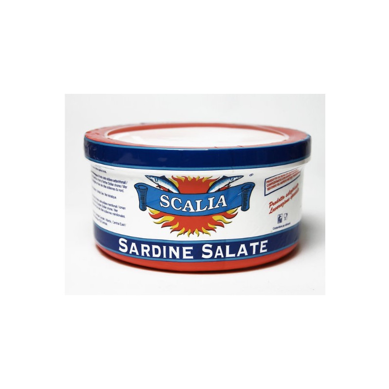 Sardine salate scapate contenitore in plastica kg 2 Scalia.jpg