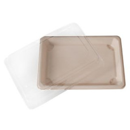 Vassoi per sushi in polpa di cellulosa con coperchio in pet misure 22,1X9,2 confezione 50 pezzi Leone